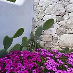 Dimora Mediterranea Bed and Breakfast Mattinata