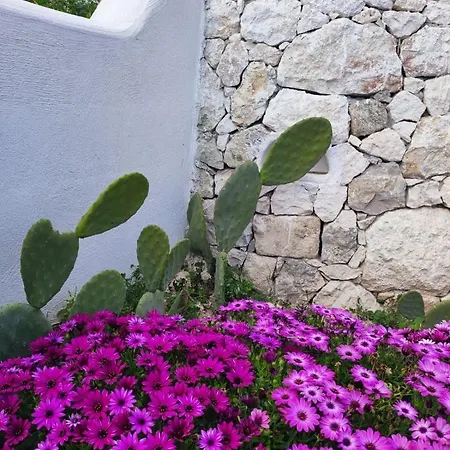 Dimora Mediterranea Couette-café Mattinata