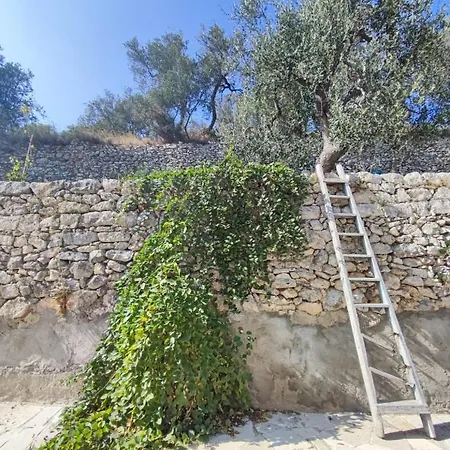 Bed & Breakfast Dimora Mediterranea *