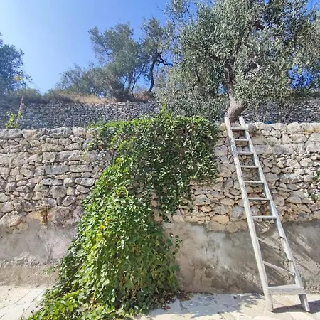 Bed & Breakfast Dimora Mediterranea 4*