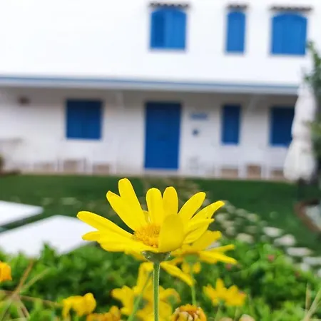 Dimora Mediterranea Bed & Breakfast Mattinata