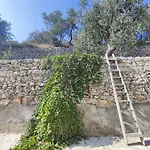 Bed & Breakfast Dimora Mediterranea 4*
