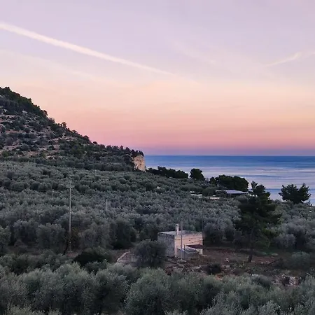 Dimora Mediterranea Bed and Breakfast