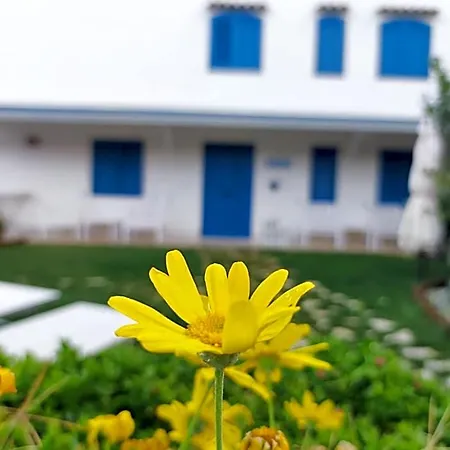 Dimora Mediterranea 4* Mattinata