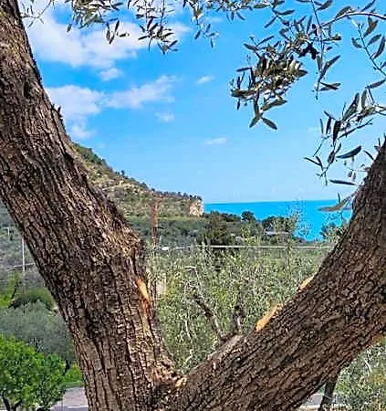 Panzió Dimora Mediterranea 4*