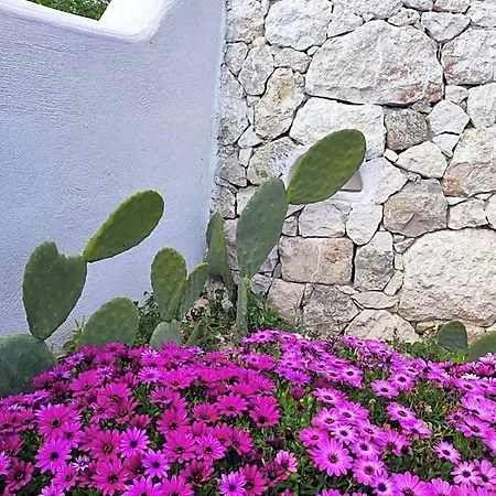 Dimora Mediterranea Panzió