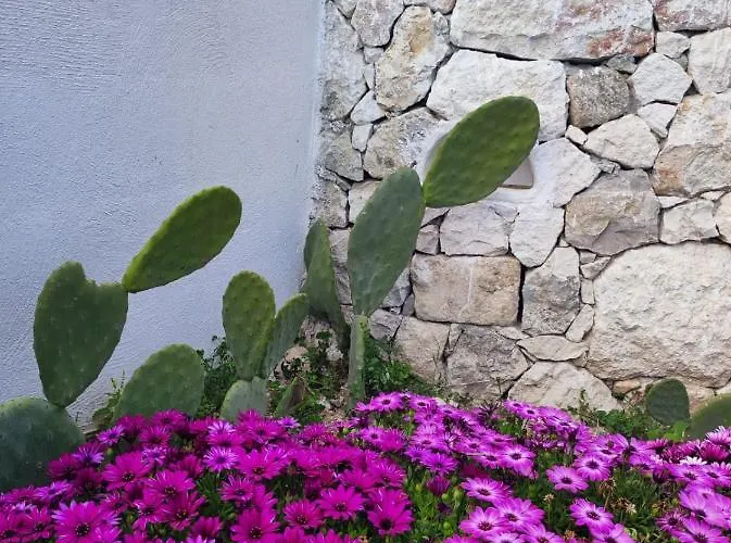 Dimora Mediterranea Отель типа 