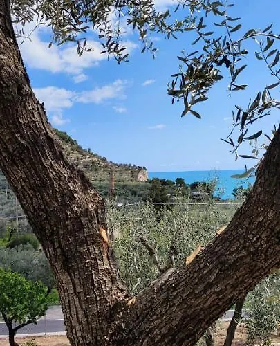 Dimora Mediterranea Mattinata