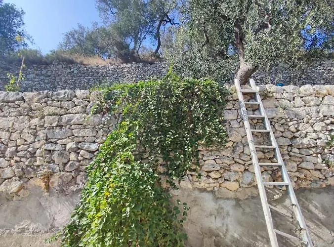 Bed and Breakfast Dimora Mediterranea 4*